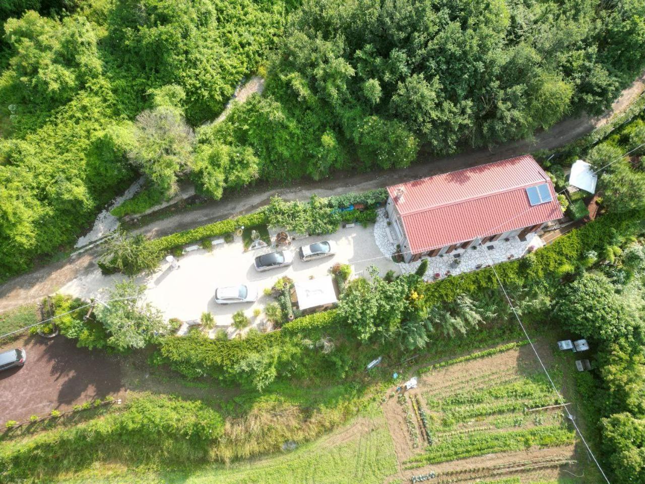 Agriturismo Le Fontane - Lago Di Bolsena Villa Grotte di Castro Exterior photo